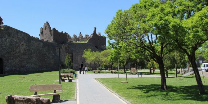 Sur Çiçeklerle Renklendi