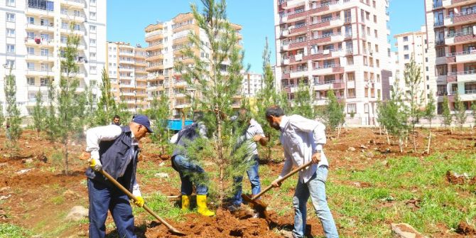 Bağlar’a Yeni Bir Yeşil Alan Daha Eklendi