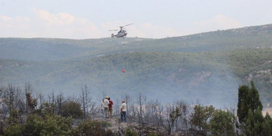 Tavşanlı’da 3 Hektar Ormanlık Alan Yandı