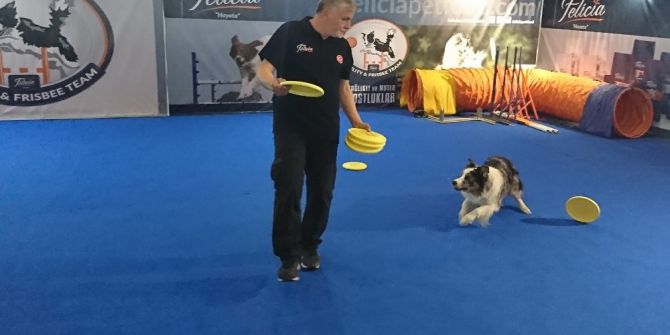 Hayvanseverler Fuarda Buluştu