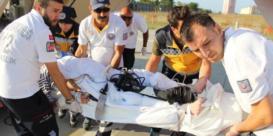 Arının Soktuğu Kadının Kalbi Durdu