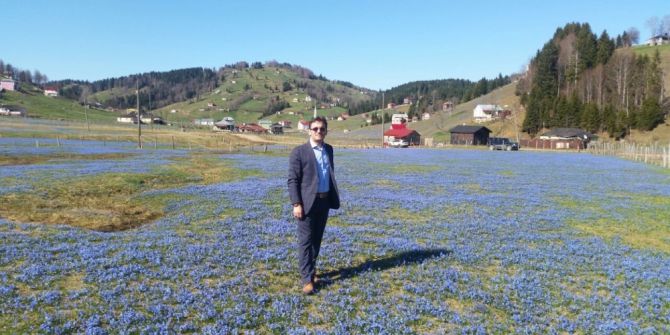 Kadıralak Yaylası Maviye Boyanıyor