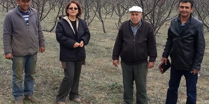 Aydın’da Elma Üreticilerine Eğitim Verildi