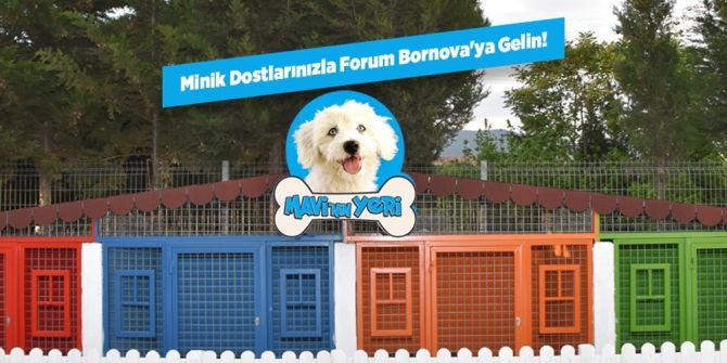 Forum Bornova Icsc Ödüllerinde Finalde