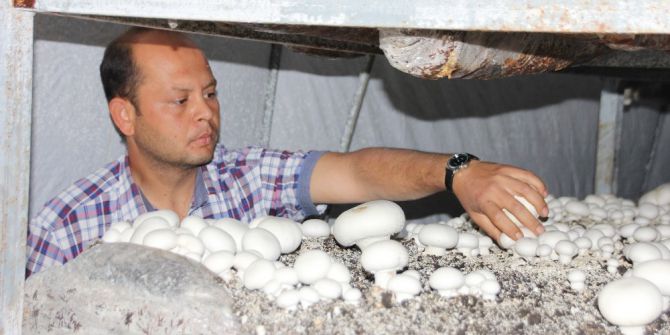 Kosgeb Kredisiyle Kendi İşinin Patronu Oldu