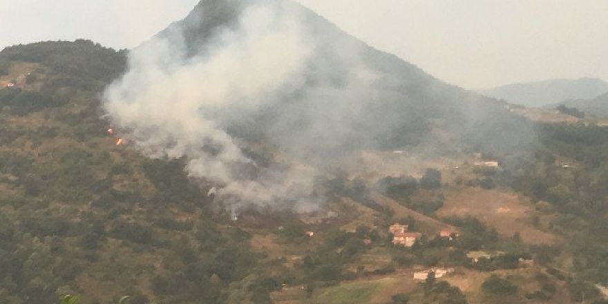 Kocaeli’de 2 Hektar Ormanlık Alan Kül Oldu