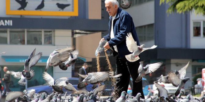 Her Gün Kilolarca Yem Satın Alıp Yabani Güvercinleri Besliyor