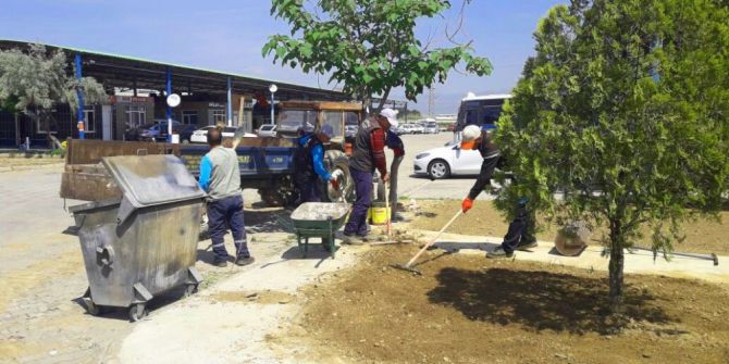 Daha Yeşil Bir Alaşehir İçin Çalışıyorlar