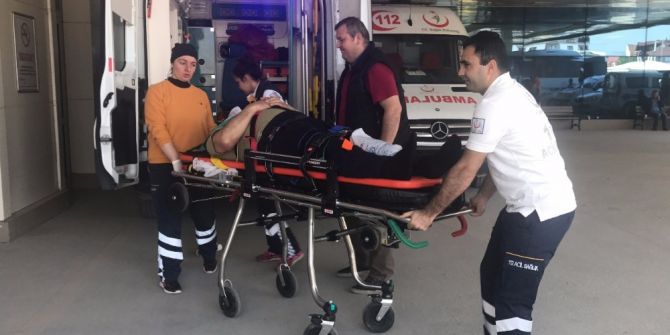 Budamak İçin Çıktığı Ağaçtan Düşerek Yaralandı