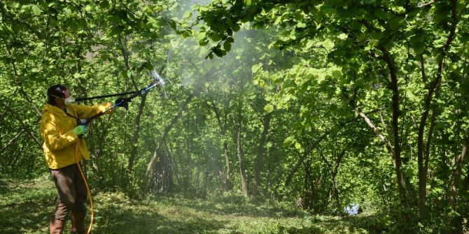 Fındıkta ‘Tarla Okulu’