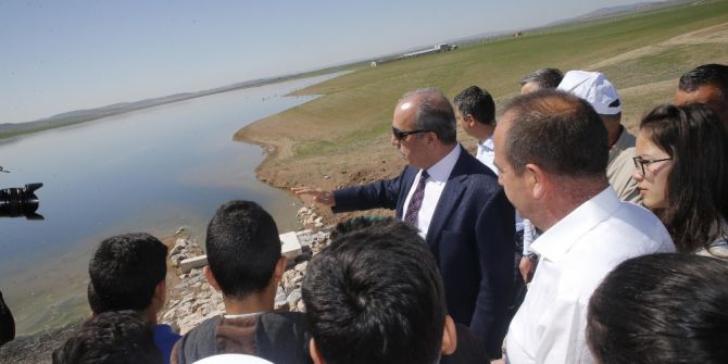 Mogan Sel Kapanı Alanına 1000 Fidan Dikildi