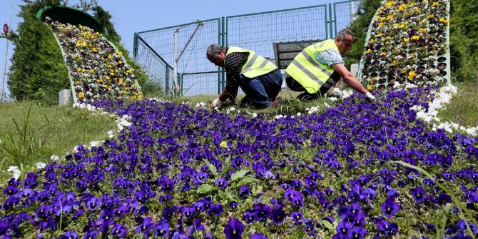 Mersin Çiçeklendi