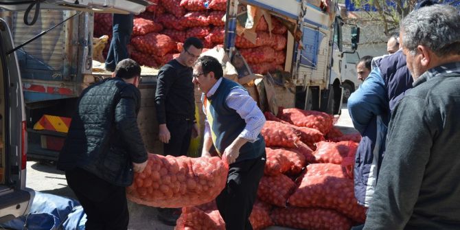 Ordu Büyükşehirden Patates Üretimine Destek