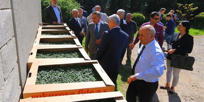 Osmaniye’de 193 Bin 700 Adet Sebze Fidesi Dağıtıldı