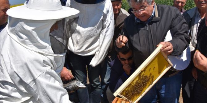 “Arıcılığı Geliştirme Ve Polinasyon Projesi”