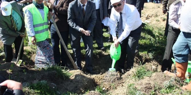 12 Dekarlık Arazide Kyk Ormanı Oluşturuldu