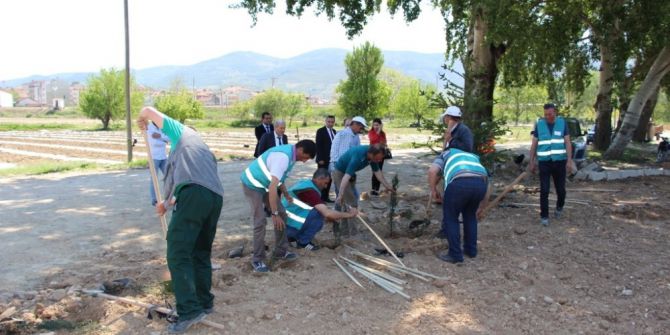 Osmaneli Belediyesi Ve Denetimli Serbestlik Müdürlüğünden Örnek Çalışma
