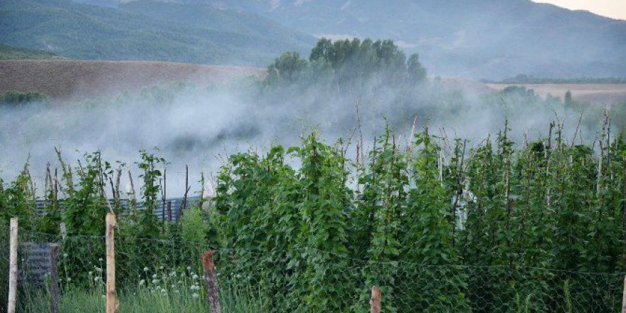 Bahçelerde Tezek Dumanı Kullanıyorlar