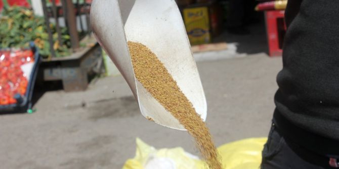 Ağrı’da Yoncanın Fiyatı Altınla Yarışıyor