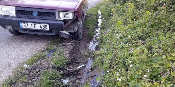 Evin Bahçesine Kadar İnen Ayı, Yoldan Geçen Araca Saldırdı