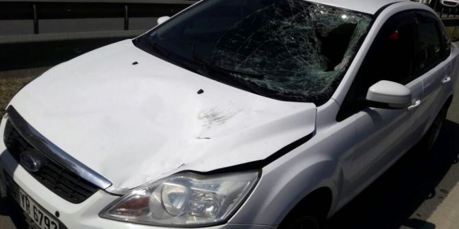 Yola Uçan Evrağını Almaya Çalışırken Araç Çarptı