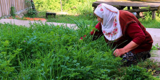 Bahçeler Yeşillendi