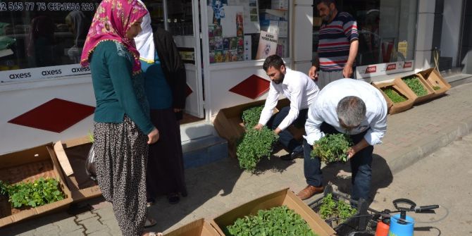 Organik Tarım Ürünleri Vatandaşlardan Yoğun Talep Görüyor