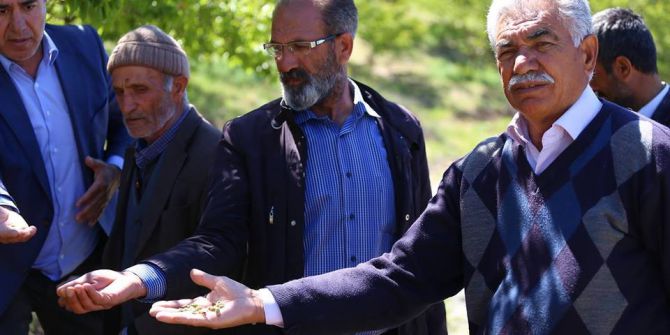 Zirai Donun Vurduğu Kayısıdaki Hasar Tespit Çalışmaları