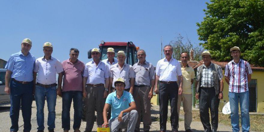 Lüleburgaz’da Sezonun İlk Ayçiçeği Alımı Gerçekleşti