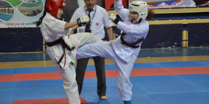 Bilecik’in Ev Sahipliği Yaptığı Ümitler Ve Küçükler İller Arası Kyokushin Karate Turnuvası Sona Erdi