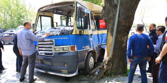 Kontrolden Çıkan Dolmuş Ağaca Çarptı: 6 Yaralı