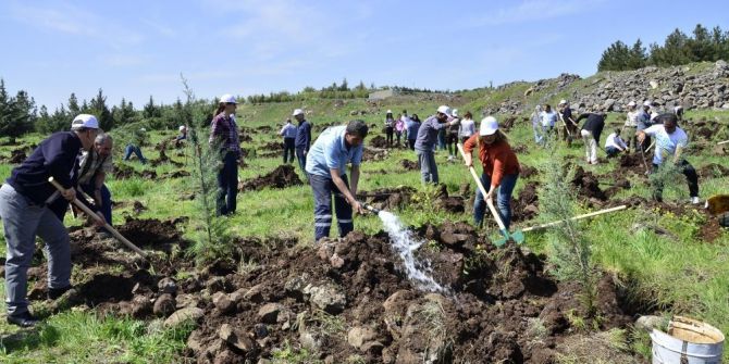 Diski Çalışanları Fidan Dikti