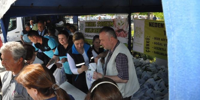 Büyükşehrin Yerli Fide Dağıtımı Didim’de Devam Etti