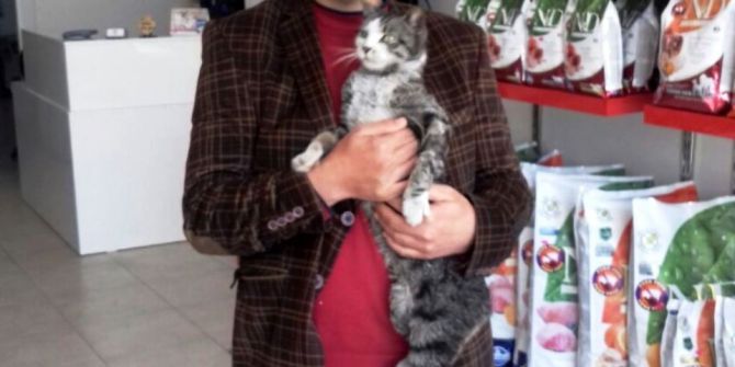 Zehirlenen Kediyi Fabrika İşçisi Kurtardı