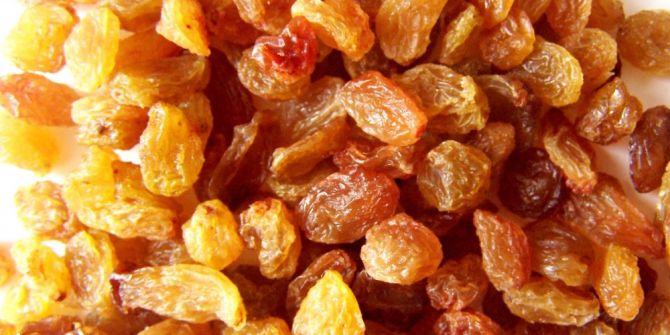 Çekirdeksiz Kuru Üzümde Erken Hasadın Faturası 100 Milyon Lira