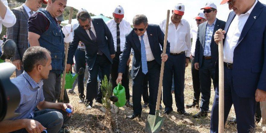 Burdur’da Faaliyetini Tamamlayan Mermer Ocağına 122 Bin Ağaç