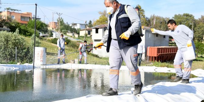 Mersin’de Sinekle Mücadele Çalışmaları Sürüyor