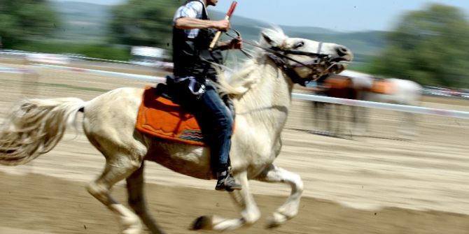 Rahvan Atları Fetih Şenlikleri Kapsamında Koştu