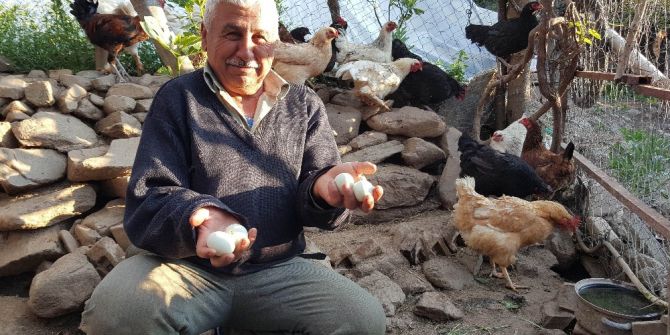 Bahar Geldi, Yumurtanın Rengi Değişti