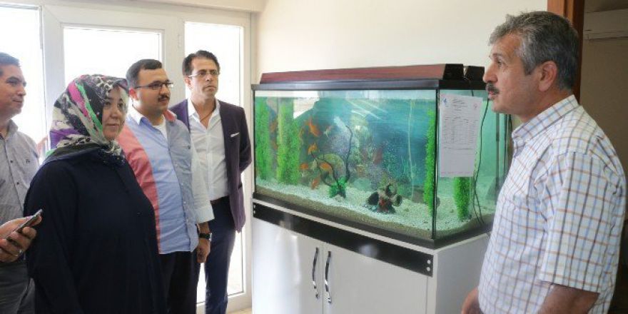 Atık Sular Arıtılarak Tarımda Kullanılıyor