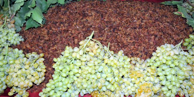 Kuru Üzüm Ve Sofralık Üzüm Üretimi Ayrılmalı