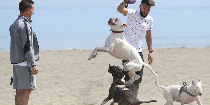 Trabzonspor’un Yeni Transferleri Mas Ve Pereira Samimi Açıklamalar Yaptı