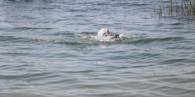 Sapanca Gölünde Yüzenler Tehlike Oluşturmaya Başladı