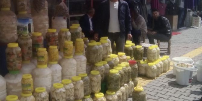 Şifalı Otlar Tezgahlarda Yerini Aldı