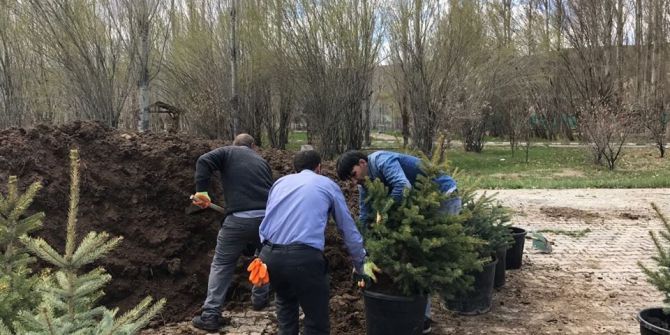 Taşlıçay Belediyesi Yeşillendirme Çalışması