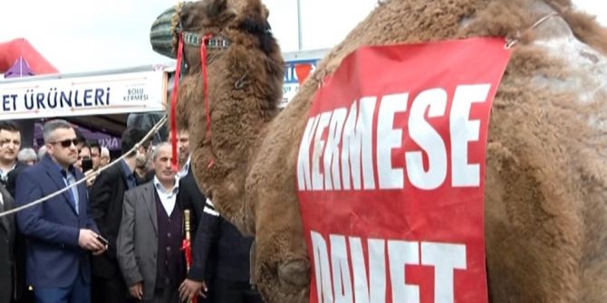 Açık Artırmaya Çıkan Deve 57 Bin 500 Liraya Satıldı