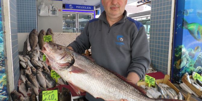 Minakobun Kilosu 50 Liradan Satılıyor