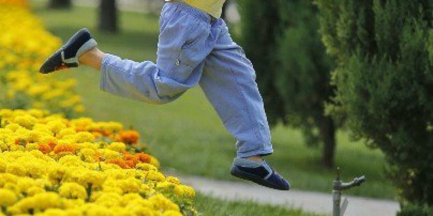 Sincan, Çiçeklerle Rengarenk Oldu