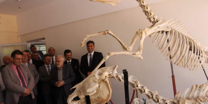 Siirt’te Hayvan Hastanesi Kuruldu