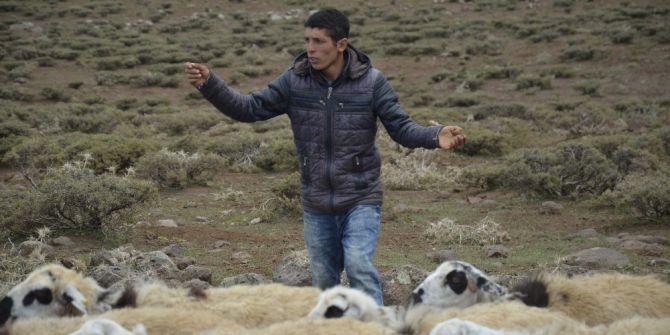Göçebe Çoban, Zorlu Yaşam Koşulları Nedeniyle Hiç Şehir Görmedi